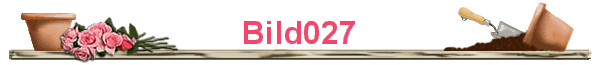 Bild027
