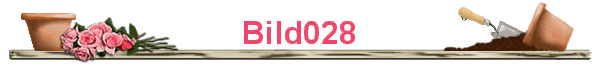 Bild028