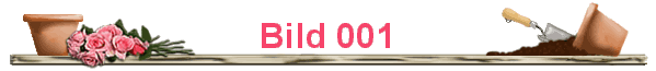 Bild 001