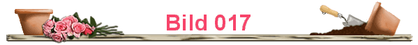 Bild 017