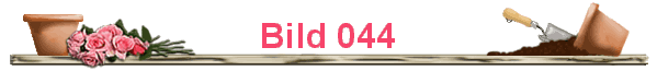 Bild 044