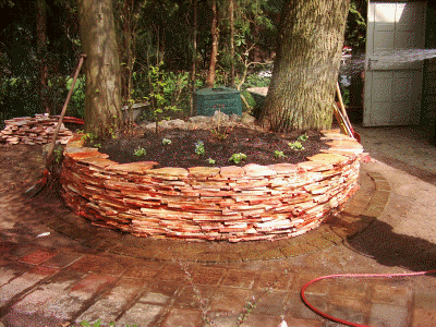 Bild 041